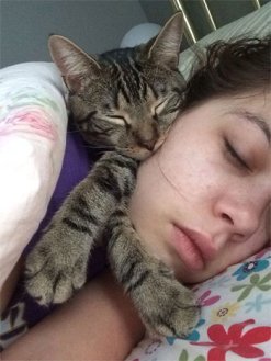 Cat and Girl Sleeping in Bed Cat and Girl Sleeping in Bed