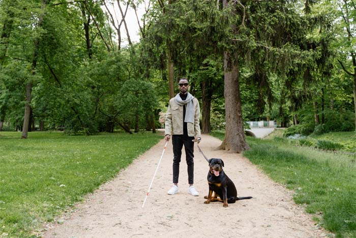 Blind Assistance Dog