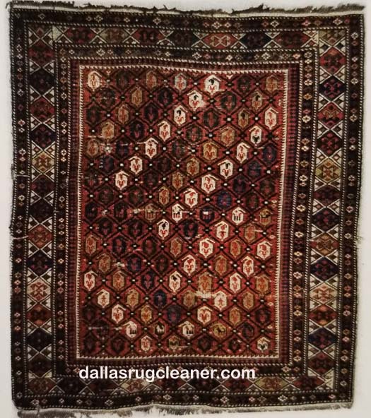 Shirvan Oriental Rug