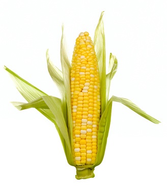 Corn on the Cob