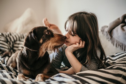 Girl With Dog On Bed