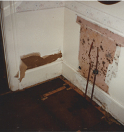 Mold from Water Damage