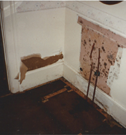 Mold and Mildew