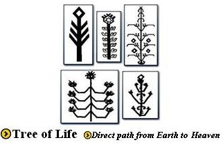 Tree of Life Design