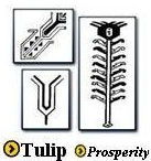 Tulip Symbol