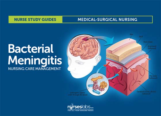 Bacterial Meningitis Symptoms