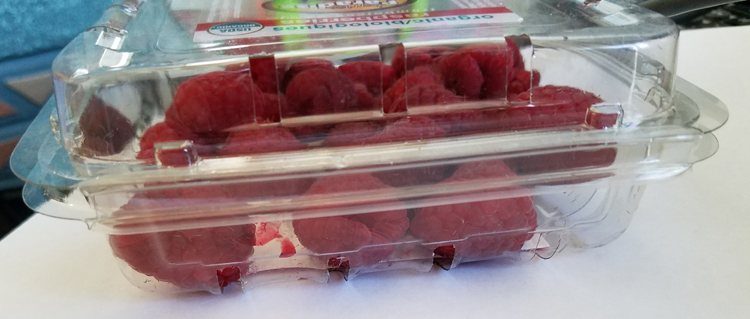 Berries Before Soaking