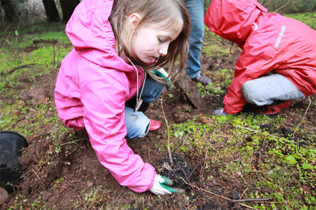 Children Planting Trees
