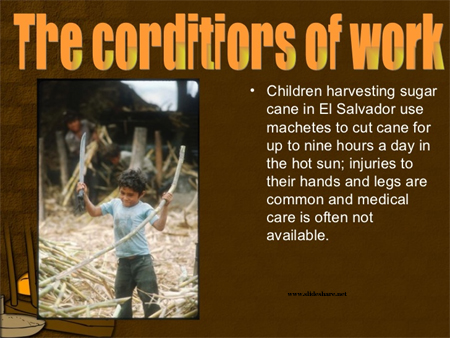Child labor in sugar industry