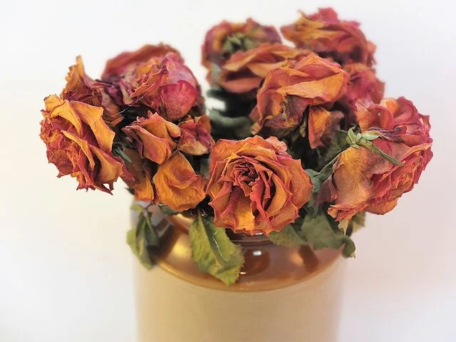 Dried Flower Arrangement