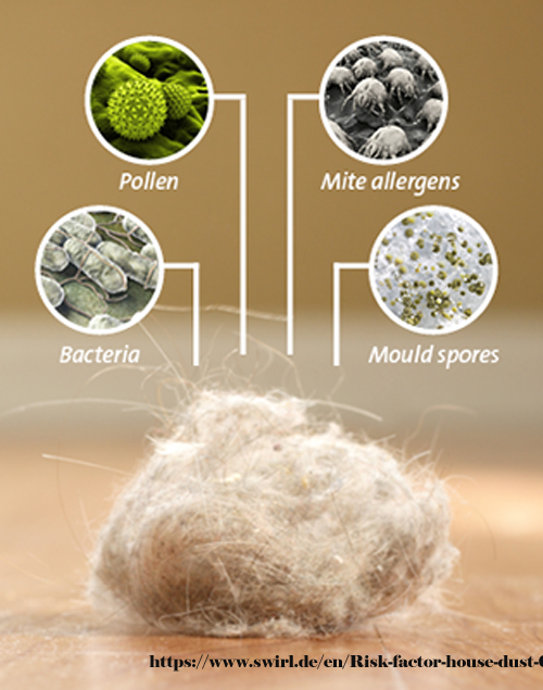 Dust Contents