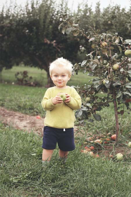 Little Boy Enjoying Apple