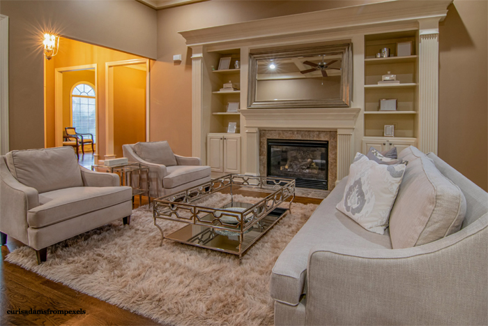 Shag Rug in Livingroom