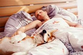 Man in bed with dog