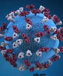 Measles Virus