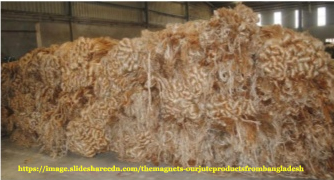 Raw Jute Fiber