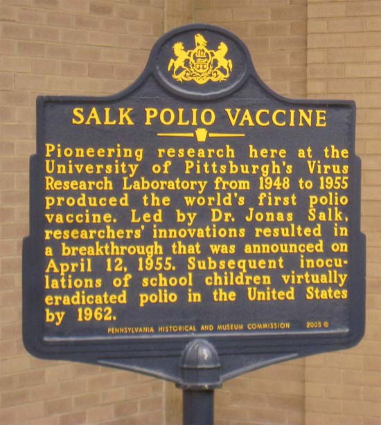 Salk Polio Vaccine Plaque