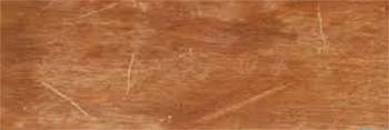 Scratched Furniture