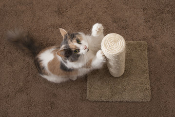 Sisal Cat Scratching Post