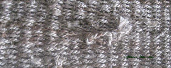 Sprouting on Natural Fiber Rug