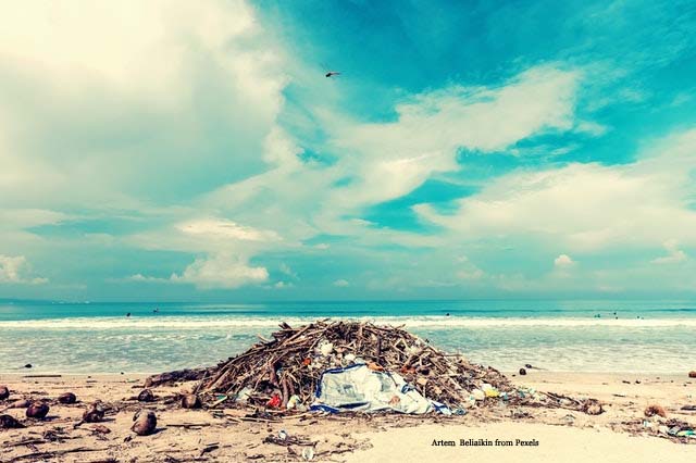 Trash on Beach