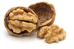 Walnut