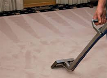 Carpet Cleaning