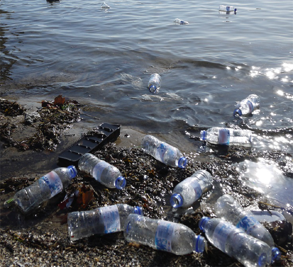 Empty Bottles on Beach