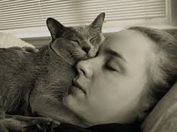 woman sleeping with cat
