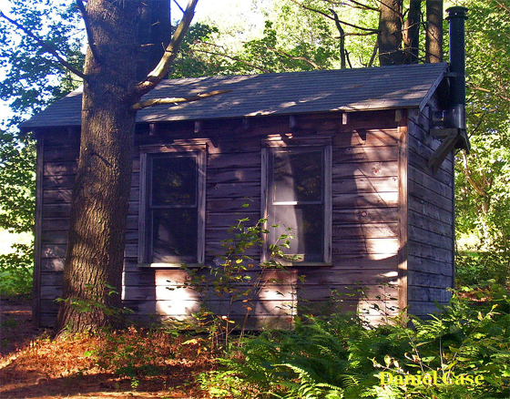Writing Cabin at Steepletop