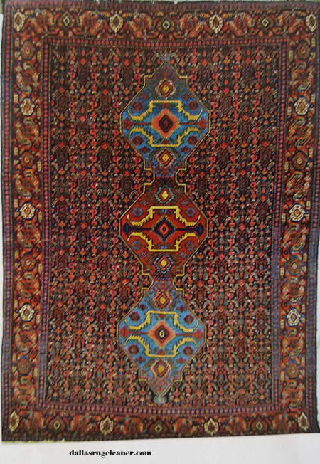 Senneh Oriental Rug