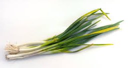 Scallions (Green Onions)