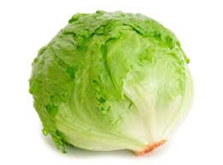 Head of Lettuce