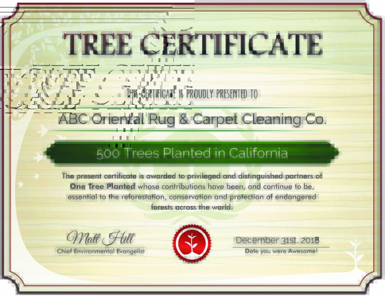 One Tree Planted Certificate