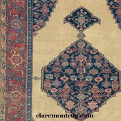 Antique Bijar Rug