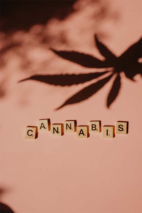 Cannabis sativa