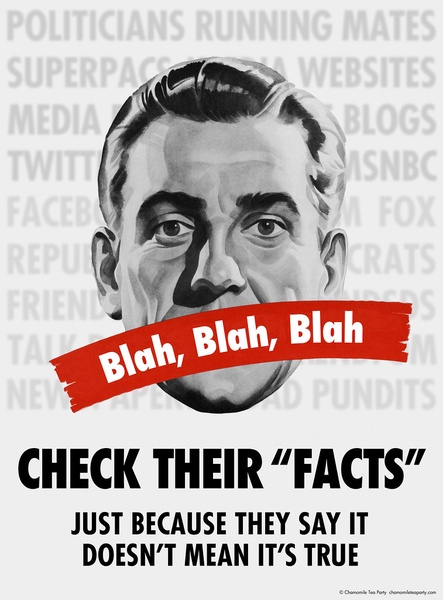 Check the Facts Poster