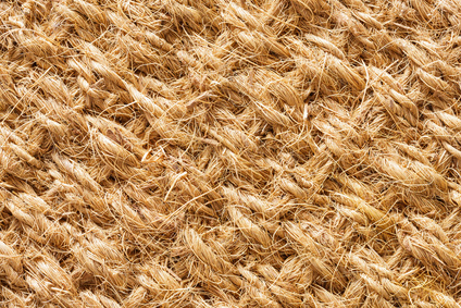 Close Up of Coconut Fiber (Coir) Mat