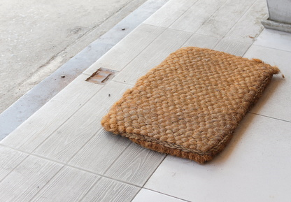 Coir Shoe Wipe