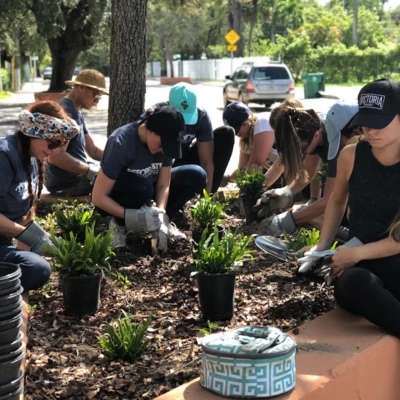 Group of People Planting Trees