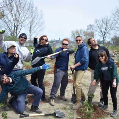 Having Fun Planting Trees