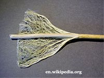 Hemp Stem