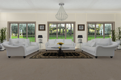 Area Rug in Living Room