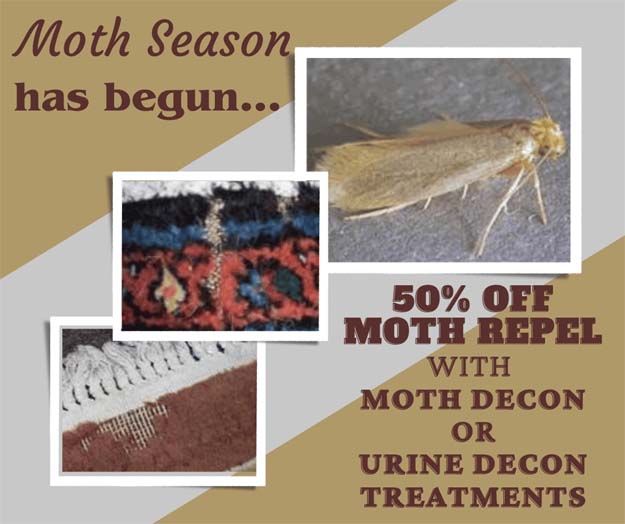 Moth Repel - May Discount Special
