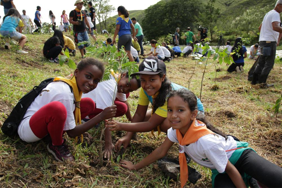 One Tree Planted