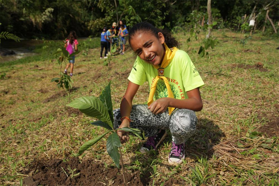 One Tree Planted