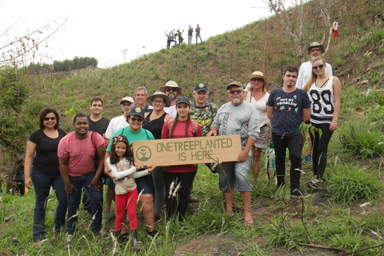 One Tree Planted