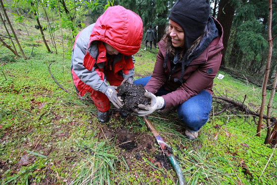 One Tree Planted