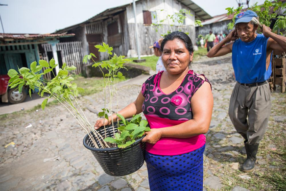 One Tree Planted