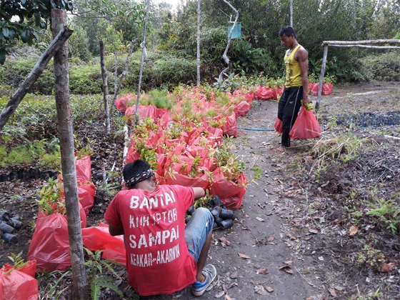 One Tree Planted